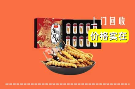泉州市洛江回收冬虫夏草